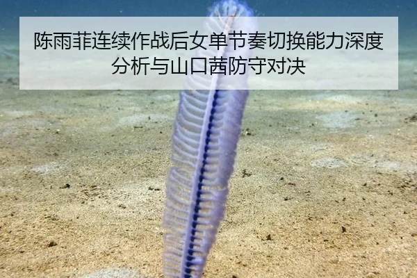 chen-yu-fei-lian-xu-zuo-zhan-hou-nv-dan-jie-zou-qie-huan-neng-li-shen-du-fen-xi-yu-shan-kou-qian-fang-shou-dui-jue-2-811.jpg